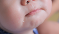 子どもの「鼻毛」はいつから気になる？おすすめの処理方法はこれ！